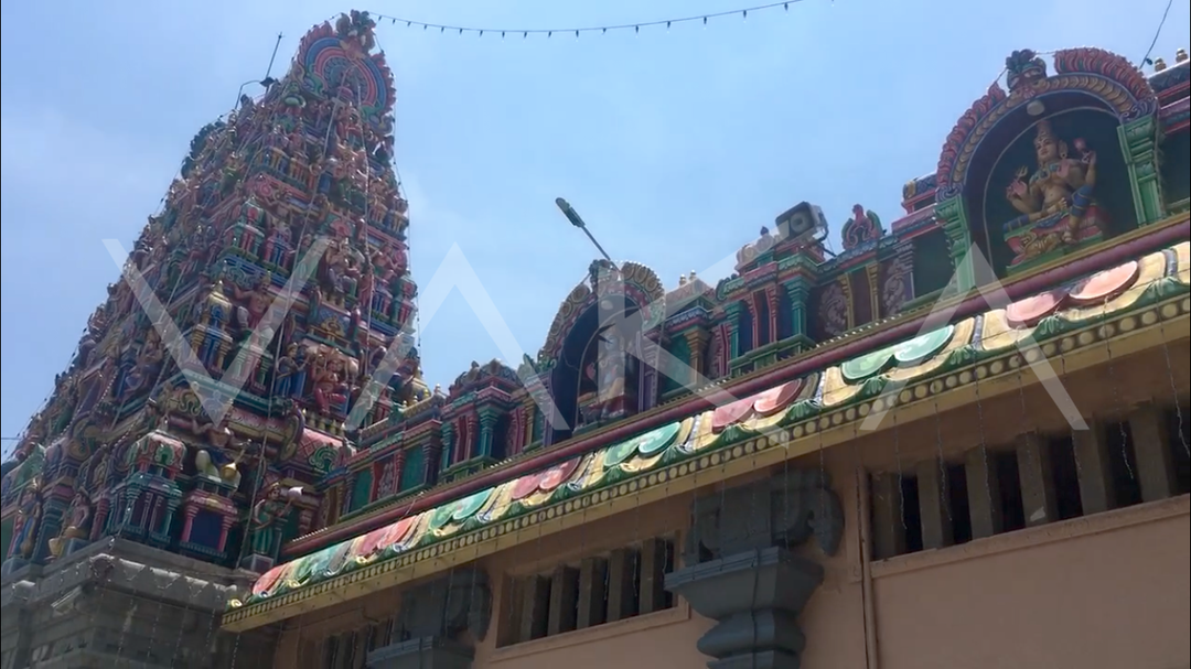 Real Human Hair Bundles