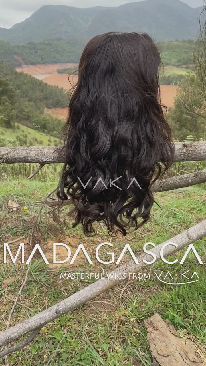 Human Hair Wigs - Lace Front Wigs - 360 Wigs